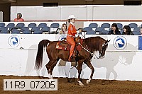 11r9_07205 proof