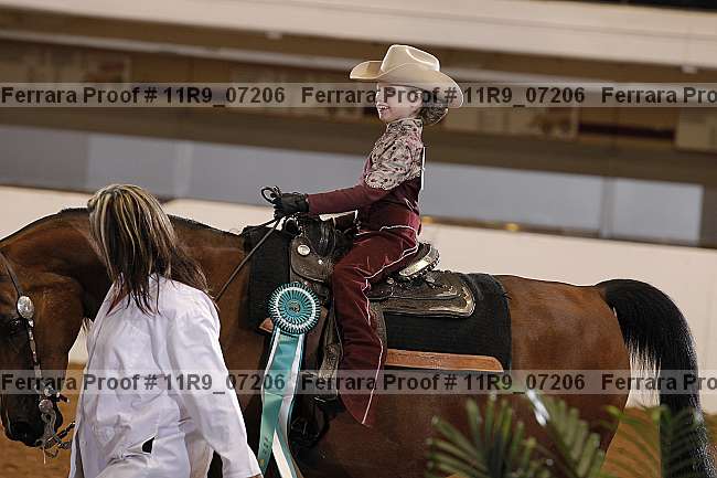 Proof 11r9_07206