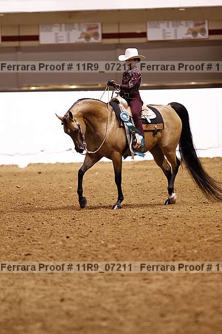 Proof 11r9_07211