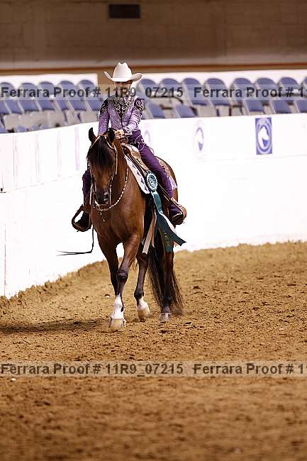 Proof 11r9_07215