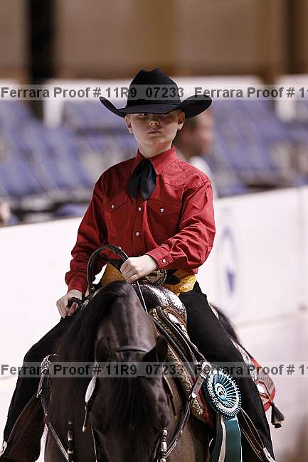 Proof 11r9_07233