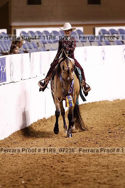 Proof 11r9_07236