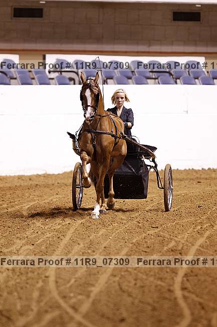 Proof 11r9_07309