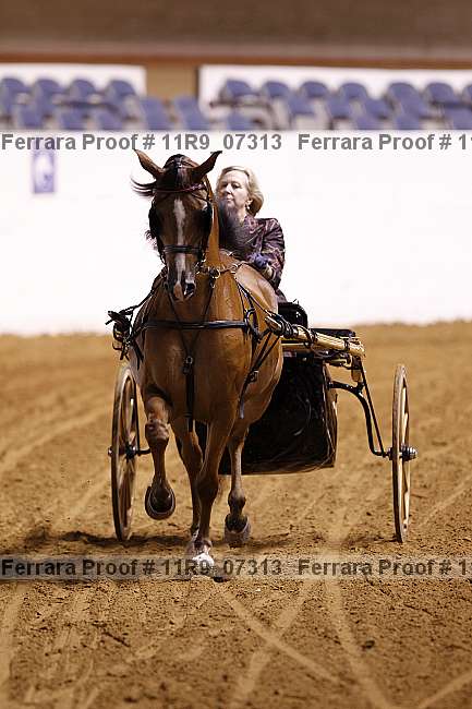 Proof 11r9_07313