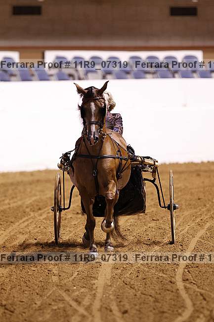 Proof 11r9_07319