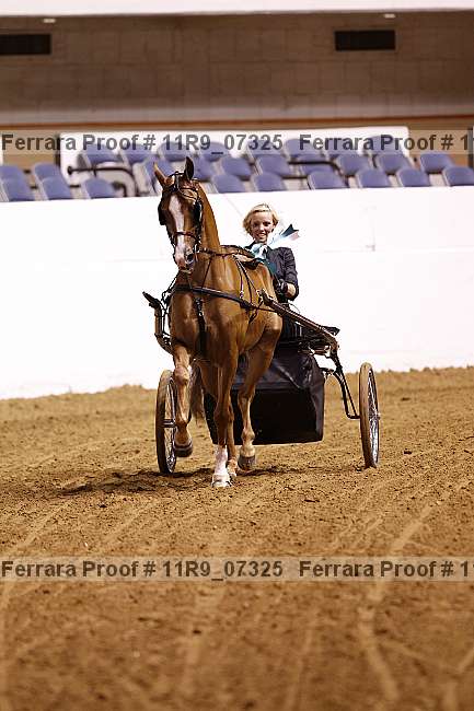 Proof 11r9_07325