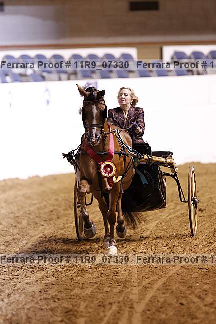 Proof 11r9_07330