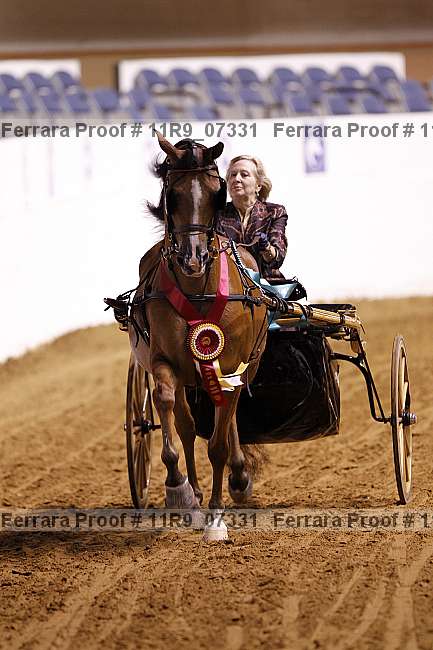 Proof 11r9_07331