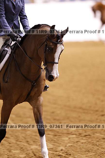 Proof 11r9_07341