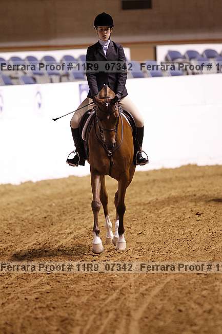 Proof 11r9_07342