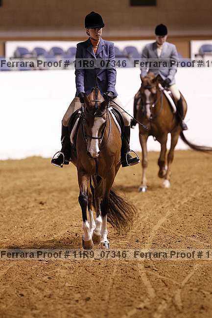 Proof 11r9_07346
