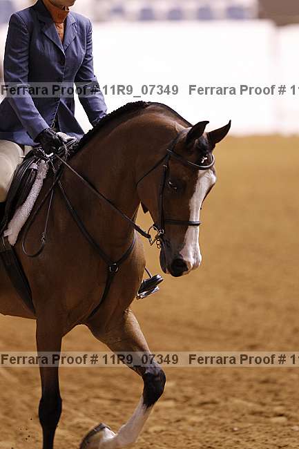 Proof 11r9_07349