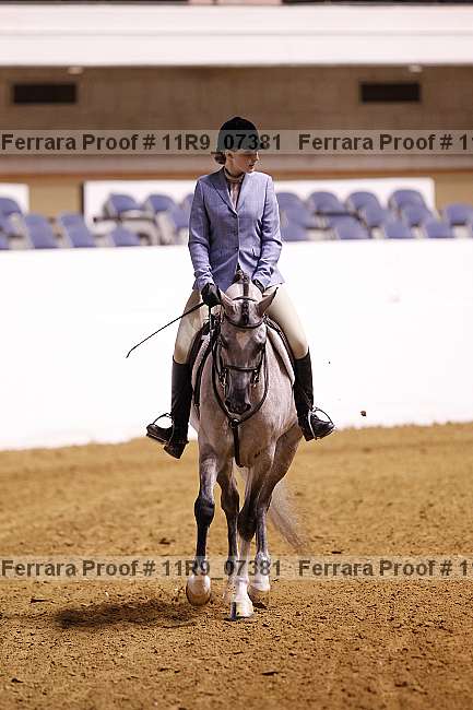 Proof 11r9_07381
