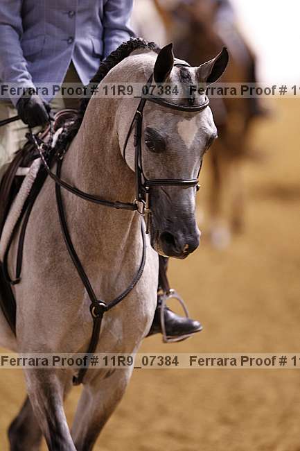 Proof 11r9_07384
