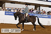 11r9_07389 proof