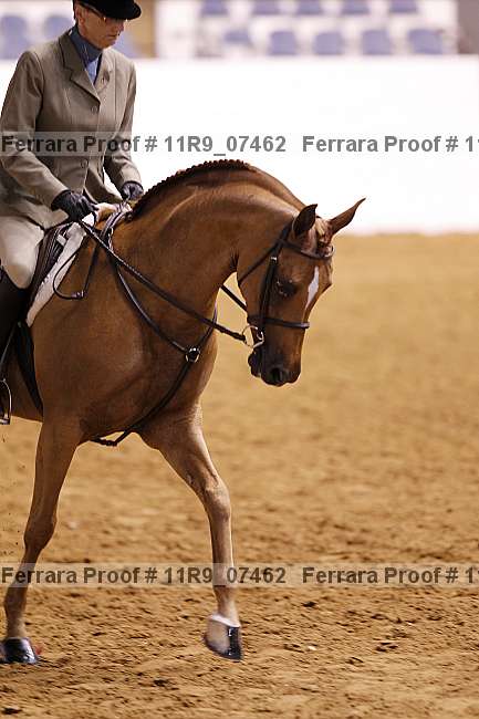 Proof 11r9_07462