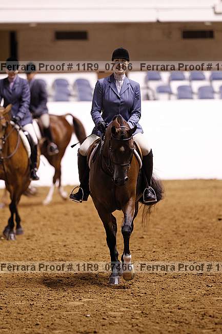 Proof 11r9_07466
