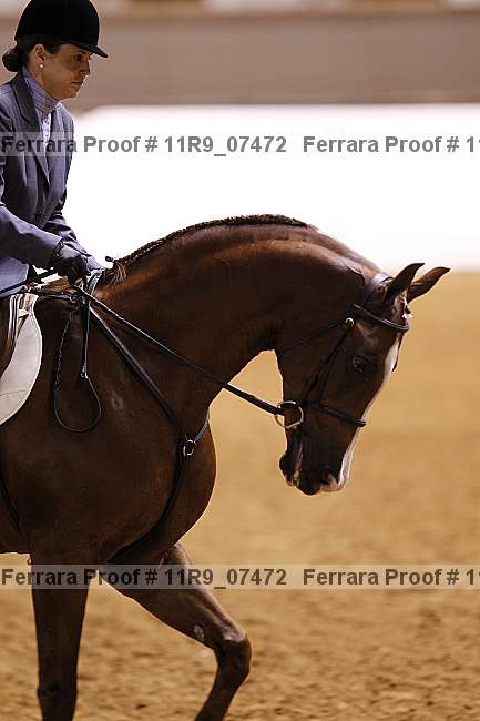 Proof 11r9_07472
