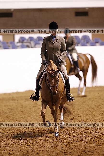 Proof 11r9_07477