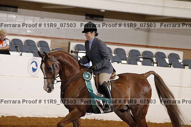 Proof 11r9_07503