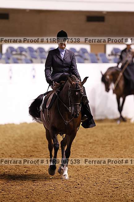 Proof 11r9_07538