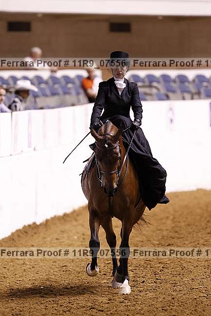 Proof 11r9_07556