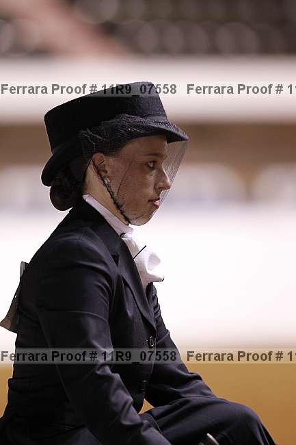 Proof 11r9_07558