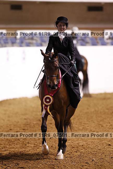 Proof 11r9_07581