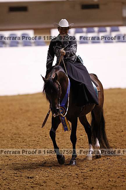 Proof 11r9_07590