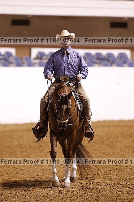Proof 11r9_07604