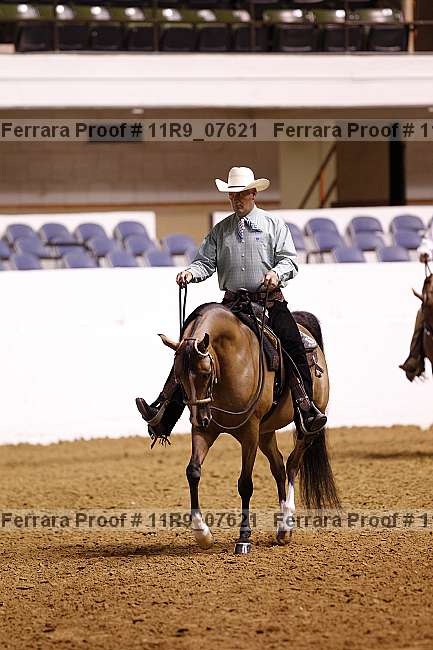 Proof 11r9_07621