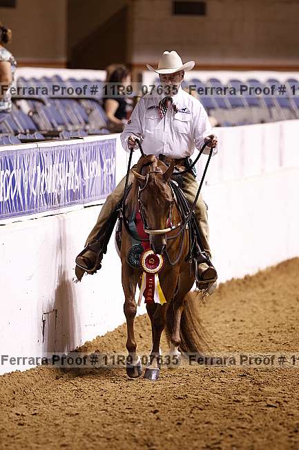 Proof 11r9_07635