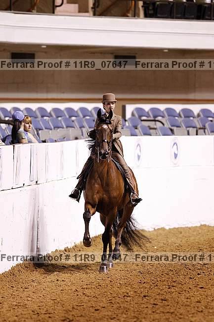 Proof 11r9_07647