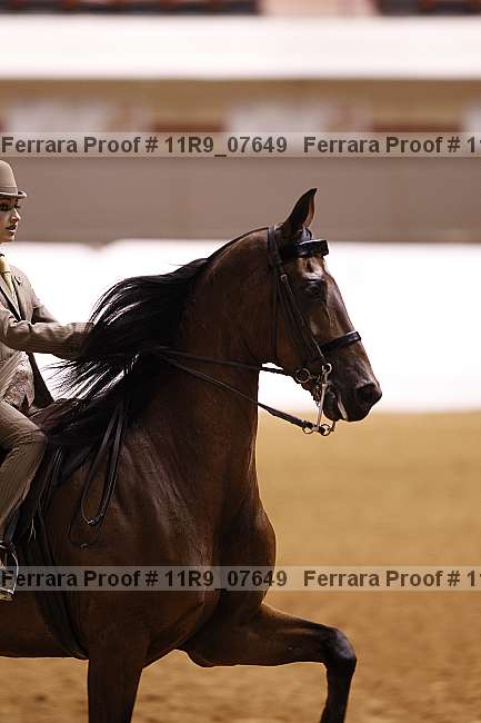 Proof 11r9_07649