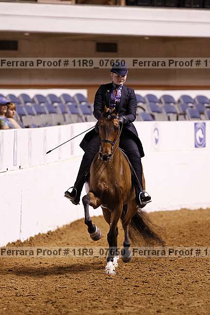 Proof 11r9_07650