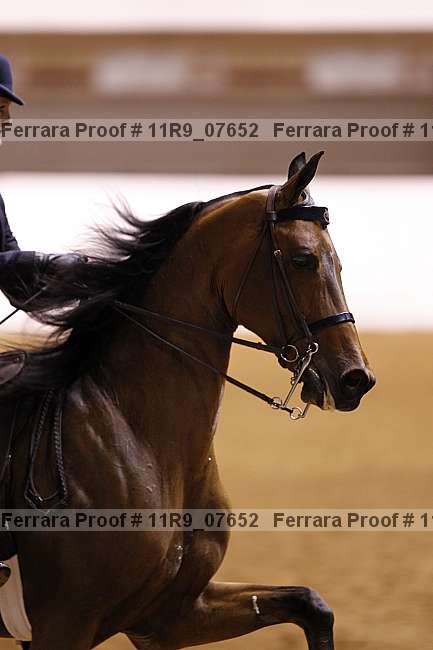 Proof 11r9_07652