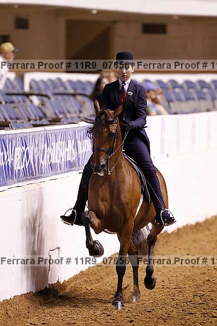Proof 11r9_07656