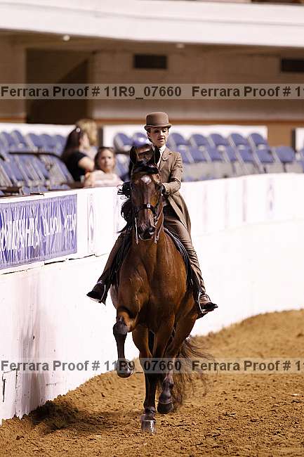 Proof 11r9_07660