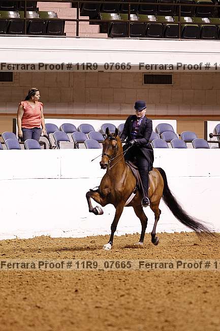 Proof 11r9_07665