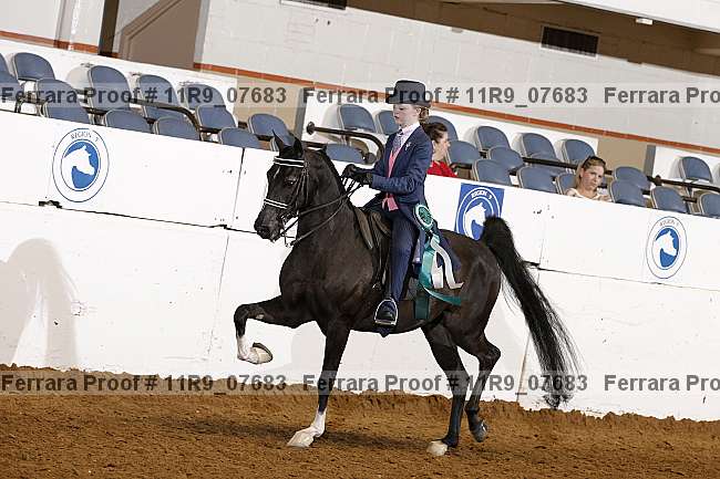 Proof 11r9_07683