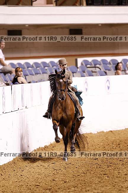 Proof 11r9_07685