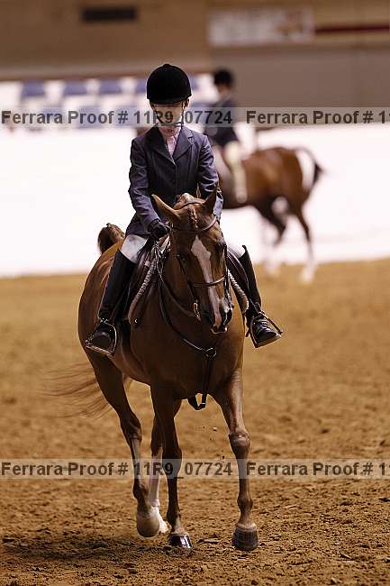 Proof 11r9_07724