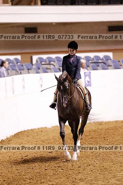 Proof 11r9_07733