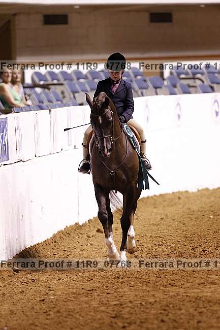 Proof 11r9_07768