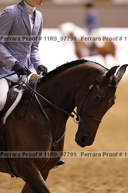 Proof 11r9_07791