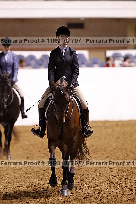 Proof 11r9_07797