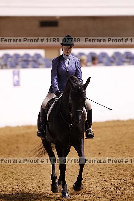 Proof 11r9_07799