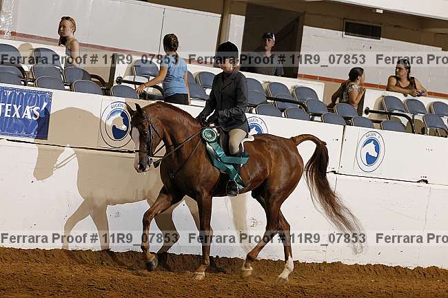 Proof 11r9_07853