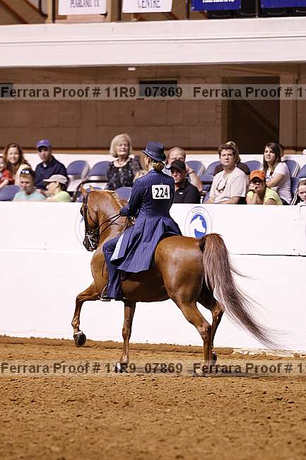 Proof 11r9_07869