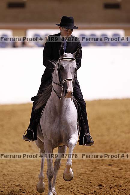 Proof 11r9_07876